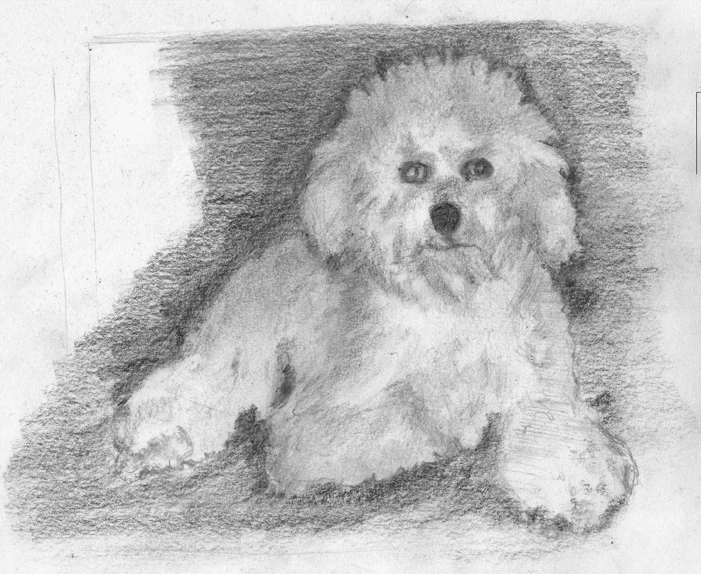               OSCAR
 `warmingham masterpiece`
              (pencil)
  
   Copyrght:Barry Wilson:
            Sept/2006/2019
   `please click to return`